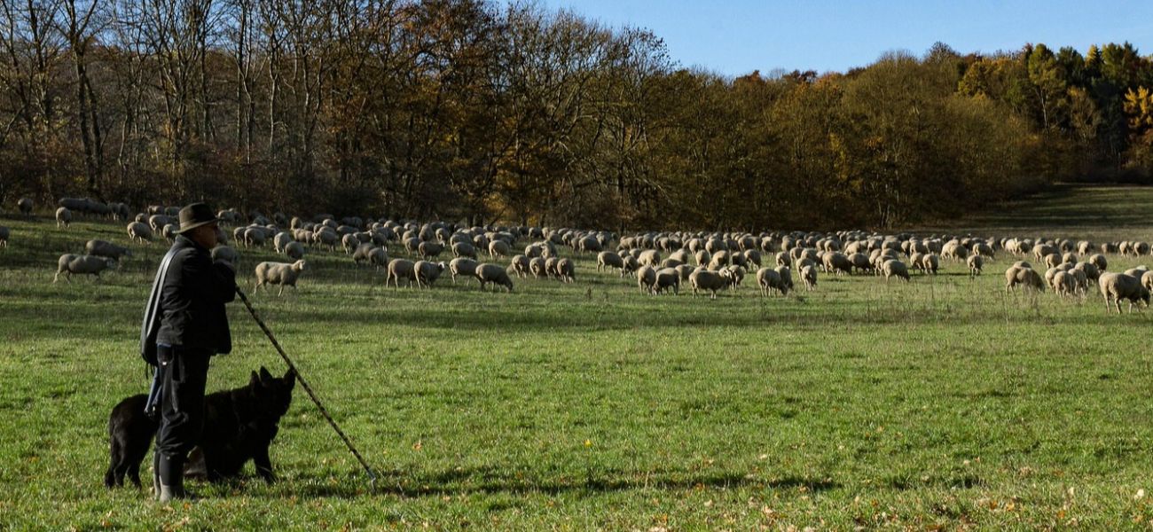 Ich bin der Weg und die Wahrheit und das Leben...