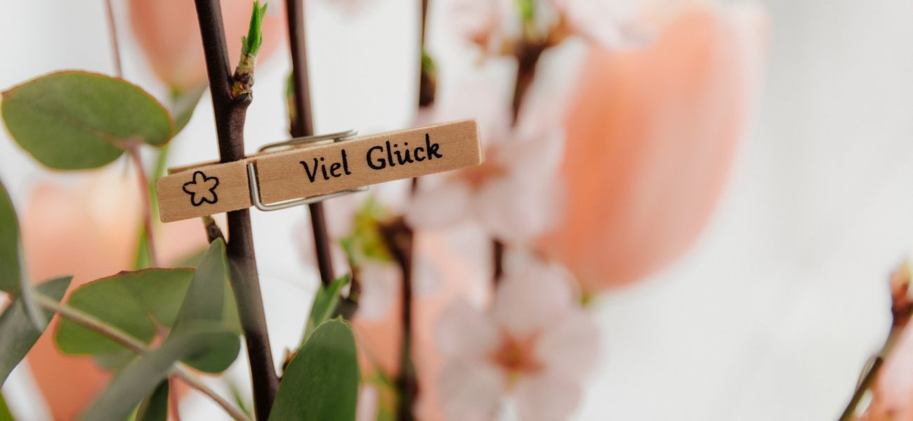 Gratulation und Verabschiedung