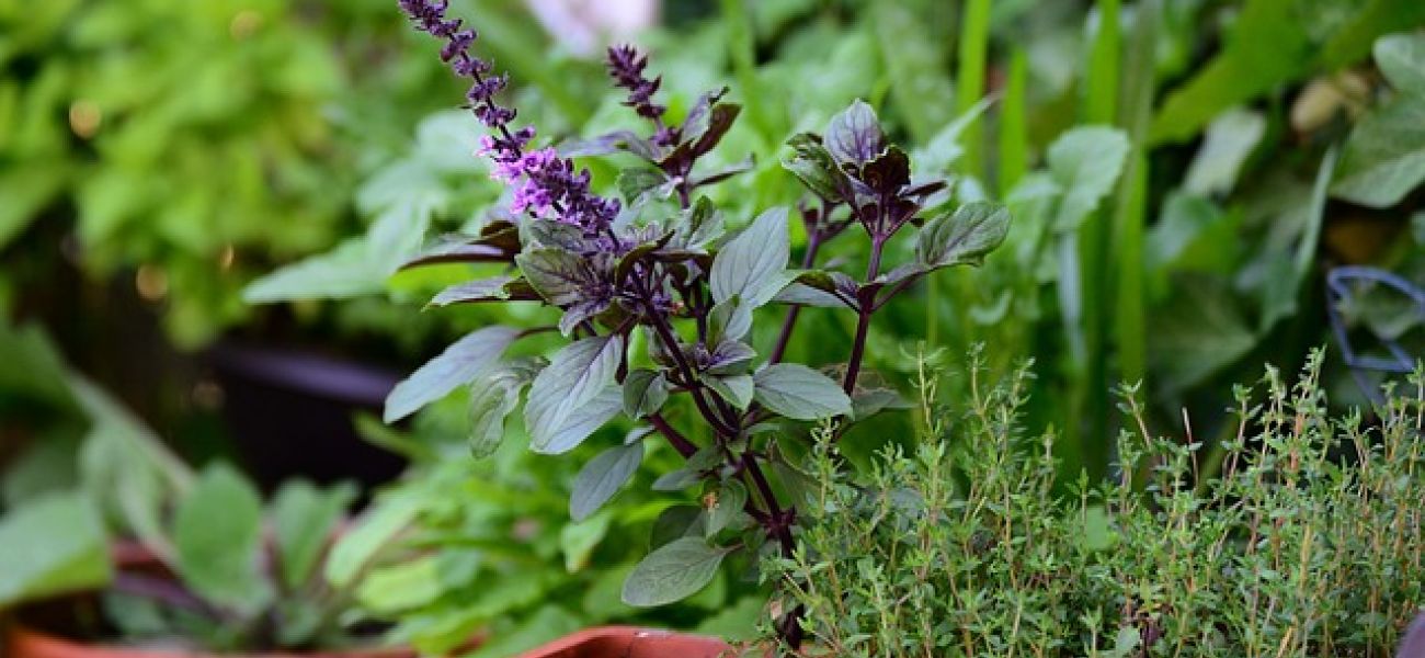 Frauengemeinschaft Arbon