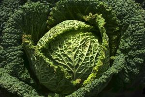 "Klimafreundliches Rezept"