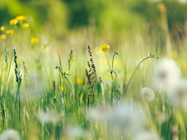 «Im Fluss des Tages – Zeit für Dich» (2)