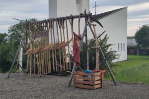 Sensekurs der Umweltkommission Grüner Güggel