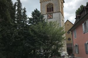 2.5 Zimmer-Wohnung im Hochparterre zu vermieten