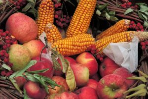 Einladung zum Erntedank- und Schöpfungsgottesdienst