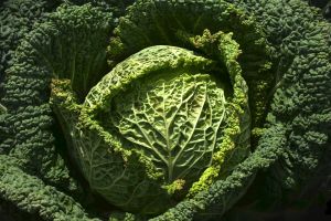 "Klimafreundliches Rezept"